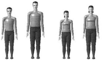 我国第5、95百分位男性与第5、95百分位女性人体模型